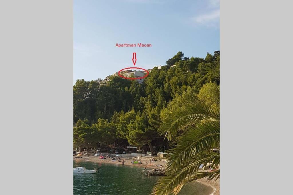 Apartman Macan بريلا المظهر الخارجي الصورة